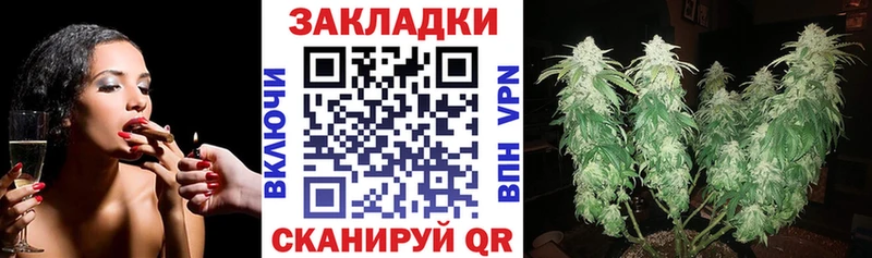 Где продают наркотики Кирс MEGA ссылки APVP Каннабис ГАШ Псилоцибиновые грибы Cocaine АМФ