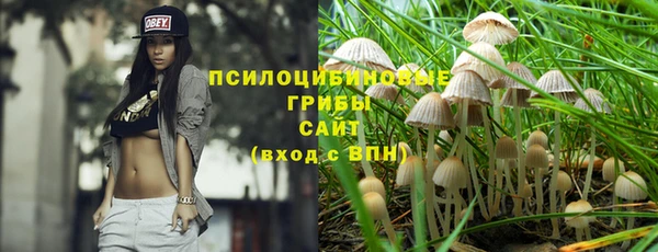 2c-b Алексин