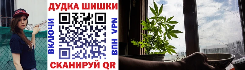 Канабис семена Кирс